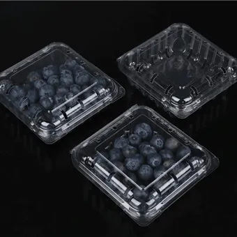 Pakovanje od školjke borovnice Pakiranje svježeg voća Kutija za pakiranje voća Pakovanje voća u kontejneru za voće u školjki borovnice